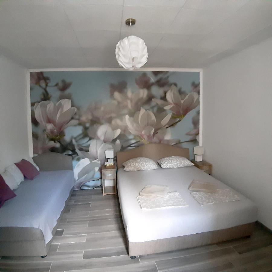 Vicky 1 Apartment Kotor Luaran gambar