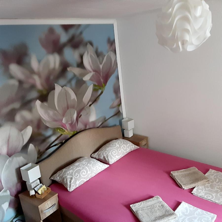 Vicky 1 Apartment Kotor Luaran gambar