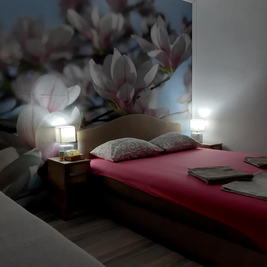Vicky 1 Apartment Kotor Luaran gambar